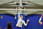 Volleyball vs Emerson  Wheaton College Women's Volleyball vs Emerson College. - Photo by Keith Nordstrom : Wheaton, Volleyball, VB2019